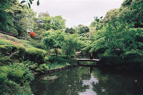 東京 龍脈|池田山公園 